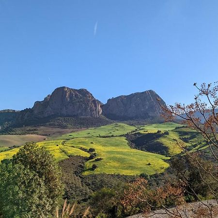 Bed and Breakfast Cortijo Sylvestre Riogordo Екстер'єр фото