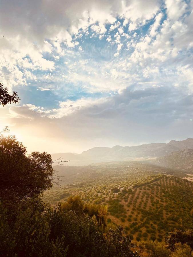 Bed and Breakfast Cortijo Sylvestre Riogordo Екстер'єр фото