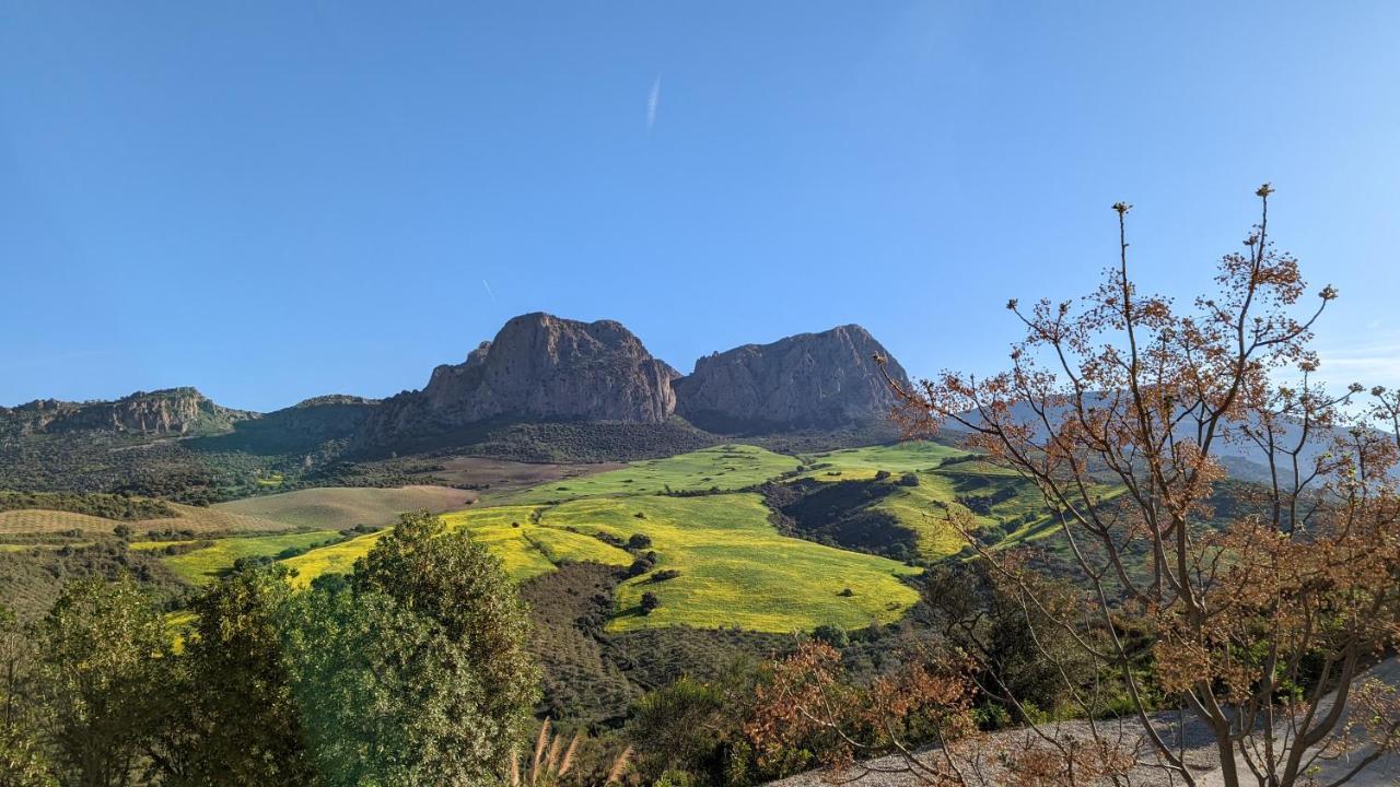 Bed and Breakfast Cortijo Sylvestre Riogordo Екстер'єр фото
